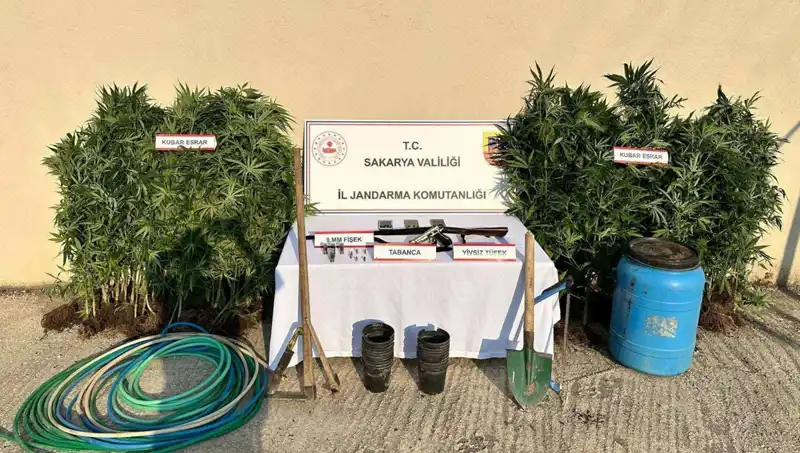 Sakarya’da Uyuşturucu Operasyonu: Piyasayı Sarstı, 1 Kişi Tutuklandı!