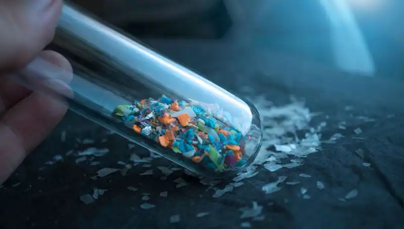 Mikroplastikler İnsan Beynine Kadar Sızıyor: Etkileri ve Önlemler