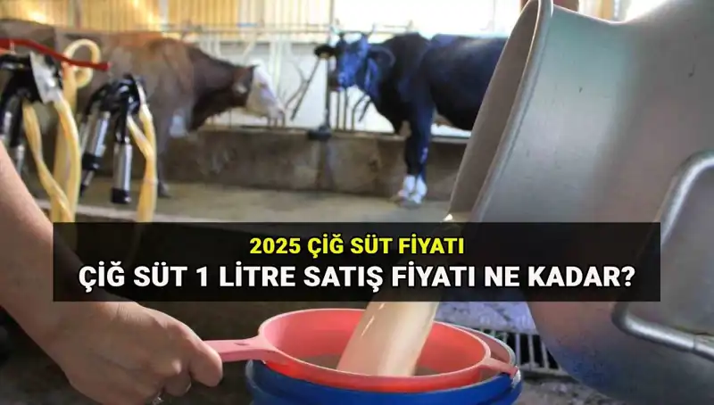 Çiğ Süt Fiyatları 2025'te Ne Olacak? Son Durum Açıklandı!
