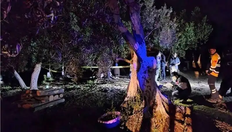 Çiftlikteki Baltalı Vahşet: Bir Tutuklama ve Derin Sorgulamalar