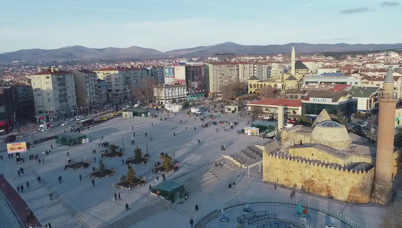 Kırşehir’de Keşfedilen Yeni Böcek Türü Bilim Dünyasını Şaşırttı!