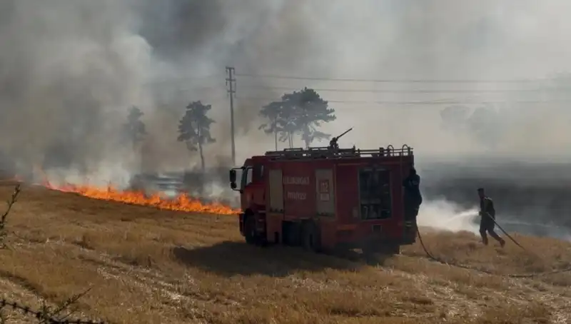 Kırklareli'nde Korkutan Anız Yangını: Doğayı Tehdit Eden Durum
