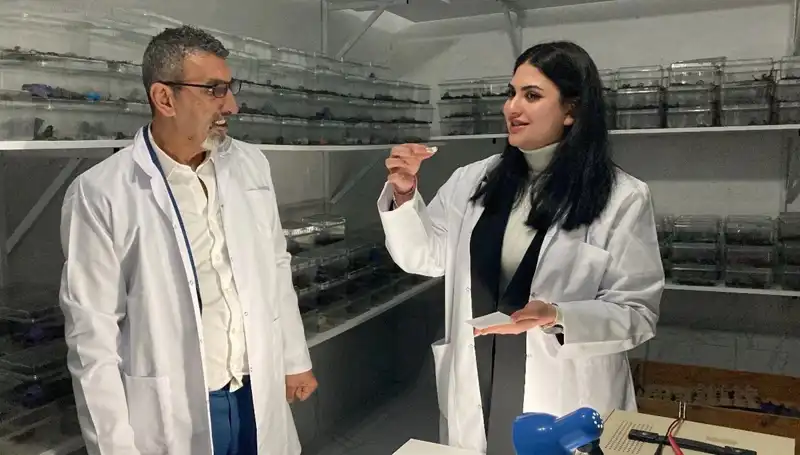 Akrep Zehri ve Şeker: Cesur Bir Lezzet Deneyimi Nasıl Ortaya Çıktı?