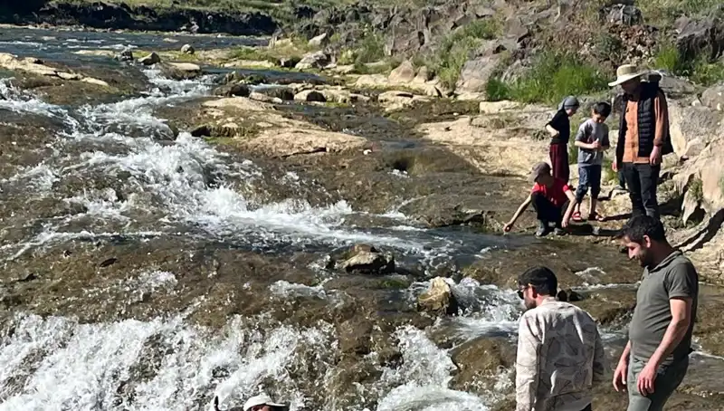 İnci Kefalinin Göçü: Doğanın Bu Eşsiz Gösterisi Sizi Bekliyor