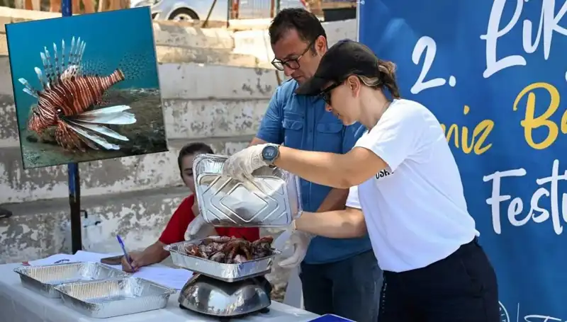 Antalya'da İstilacı Aslan Balığı Avlama Yarışması: Denizlerimizi Koruyalım!