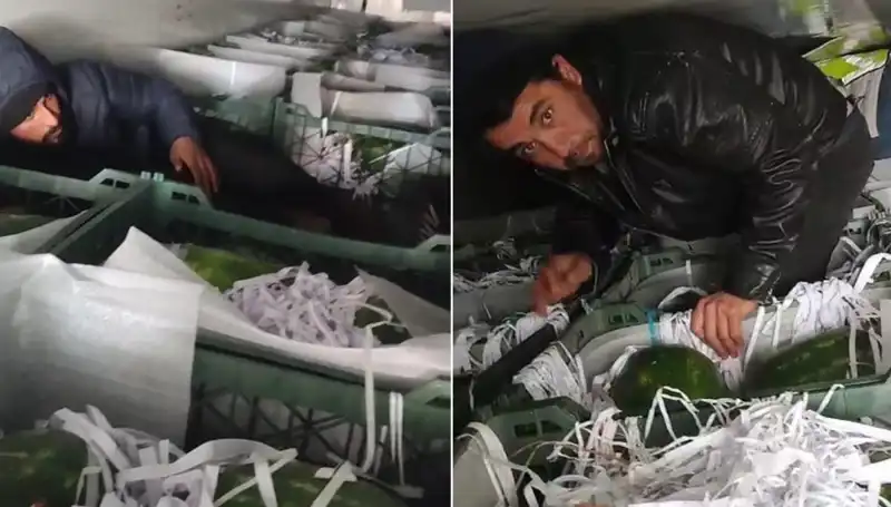 Karpuz Yüklerinden Göçmenlerin Çıkması: Sıcak Yazın Şok Edici Hikayesi