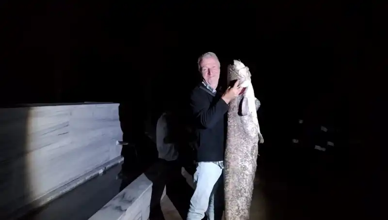 Barajda sıra dışı balık sürprizi: 40 kilo ağırlığında dev örnek!